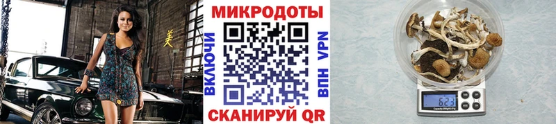 Псилоцибиновые грибы Magic Shrooms  гидра сайт  Солнечногорск 
